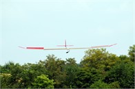 Murray_Glider -crow-3